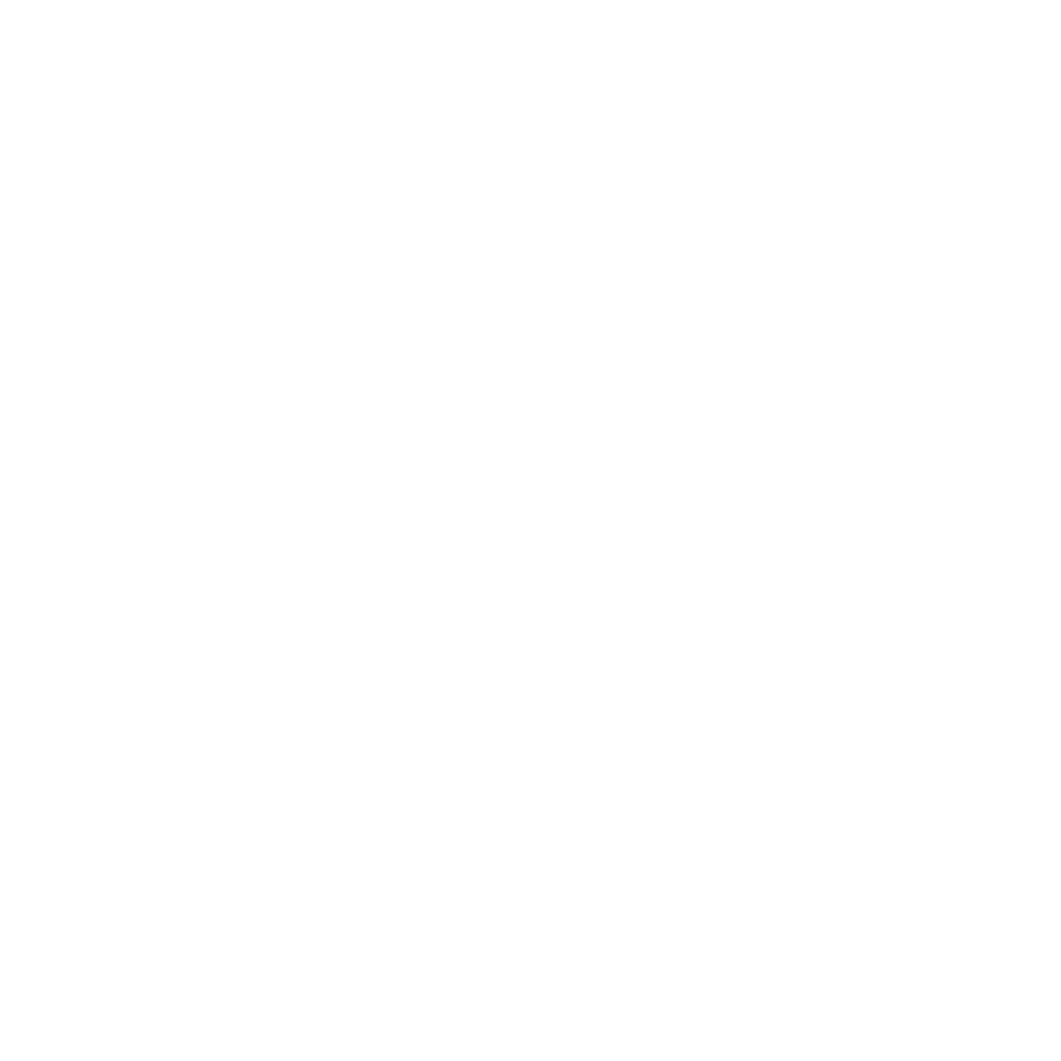Reviv Italy